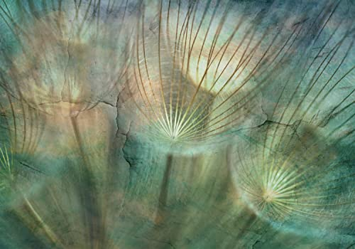 decomonkey Fototapete Pusteblume Abstrakt 350x256 cm Design Tapete XXL Fototapeten Vlies Tapeten Vliestapete Wandtapete moderne Wand Schlafzimmer Wohnzimmer Blumen Natur Stein Optik Beton Türkis