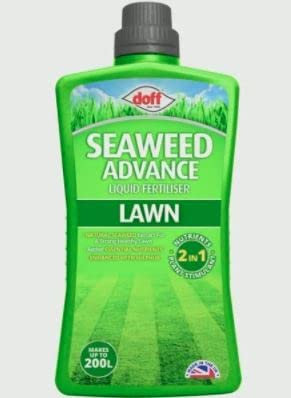 Seaweed Advanced For Liquid Fertilizer for Lawns Food Source for All Types of lawns and Grass, Promotes Thicker, Greener & Healthier looking lawns (1L Lawn Seaweed)