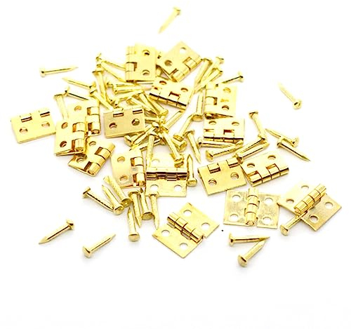 50 Pcs Charnières Porte en Acier Inox Paumelle Porte + 200pcs Vis Charniere Meuble avec Boîte Charnière Invisible Anticorrosion Charniere Armoire Paumelle à Visser pour Porte Meuble Armoire Placard