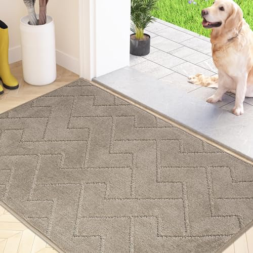 FCSDETAIL Paillasson Interieur 50 x 80 cm, Tapis d'Entrée Antidérapant et Lavable en Machine, Tapis de Sol Douces Absorbantes pour Chien, Entrée, Porte et Couloir