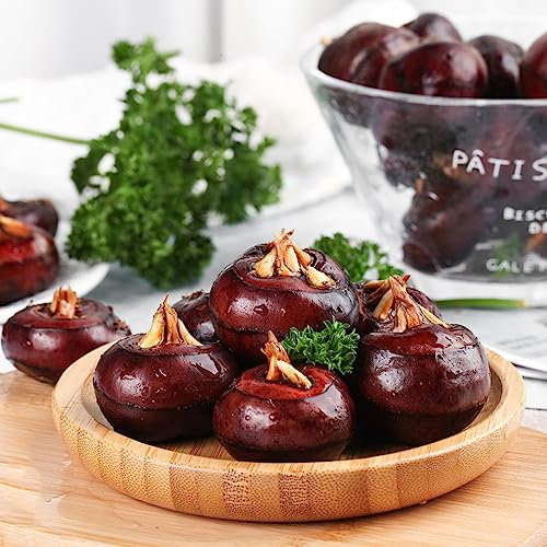300 pcs Wasserkastanien samen - deko pflanzen exotische gemüsepflanzen früchte geschenke für gartenliebhaber säulenobst winterfeste pflanzen für balkon hochbeet balkon dachbegrünung