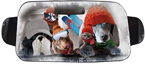 OK Cars Alu Windschutzscheibenabdeckung Hund – 150 x 70 cm – Frontscheibenabdeckung Winter – Universell passender Frostschutz Auto – Faltbare Auto Frostschutz Abdeckung