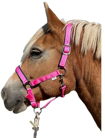 Brama West Cabestro caballo – Caballo – Caballo acolchado de nailon – ayudante de establo ajustable – en 3 colores (rosa, pony)
