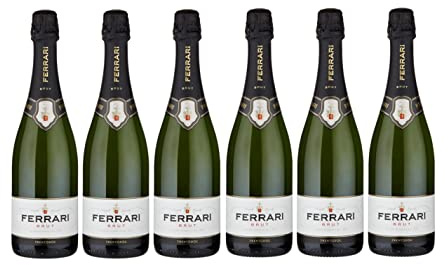 FERRARI TRENTODOC METODO CLASSICO BRUT [ 6 FLASCHEN x 750ml ] ohne Geschenkverpackung
