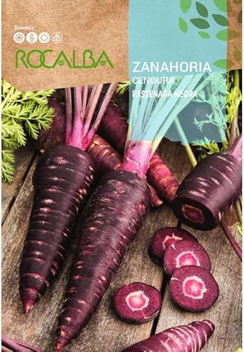 Semillas Zanahoria Pastenaga Negra