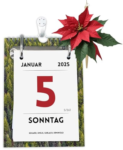 KALVOS Deutscher Kalender 2025, Tischkalender, Wandkalender, Abreisskalender, 365 tage, Tagesabreißkalender, Kalendarium, Minimalistisch Tages Kalender mit großen Zahlen (Namensfest)