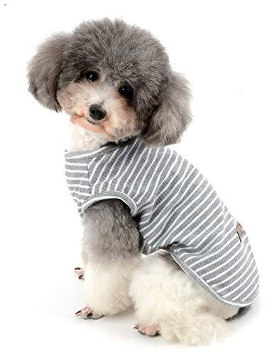 Zunea Maglietta per Cani Piccola Taglia Estate Cuccioli Canottiera in Morbido Cotone Canottiera a Righe Fresco Abbigliamento per Gatti Chihuahua e Animali Domestici Grigio XL