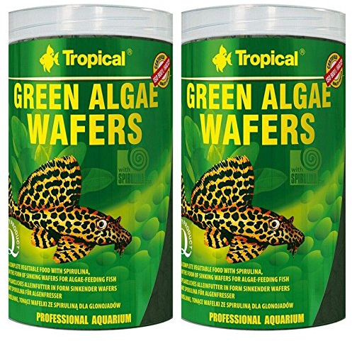 Tropical Doppelpack 2 x 1000 ml Green Algae Wafers Welschips Pleco Futtertabletten