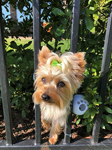 FenceMate Dog Harness to Keep Your Pets On The Safe Side of The Fence-Dog Safety Harness (Small) Fits Chest 12-16 (Measure Girth Before Ordering) Improved No Escape Dog Harness