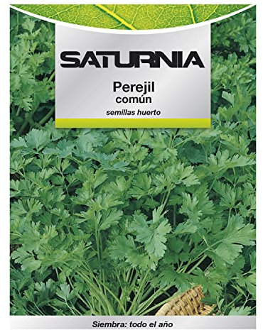 Semillas Perejil Comun (8 gramos) Semillas Verduras, Horticultura, Horticola, Semillas Huerto.