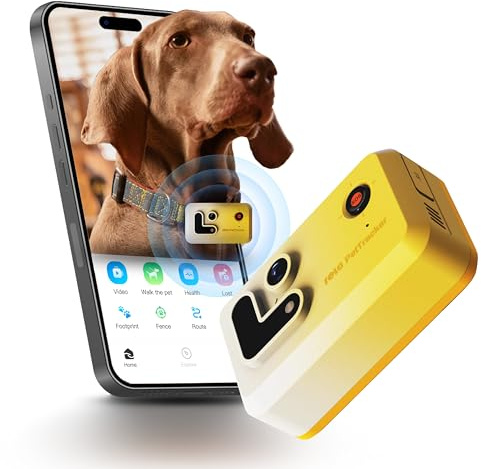 Enabot EBO ROLA PetTracker | GPS para Perros - Localizador para Perros con GPS - Rastreador de Actividad - Color Amarillo