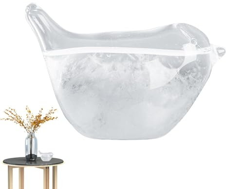 Storm Glass pronosticador del tiempo de de tormenta, predictor de tormentas Barómetro meteorológico de con diseño de pájaro, herramienta decorativa y científica para predicción del cli