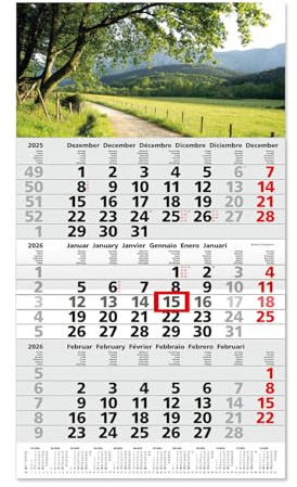 Timr calendrier 3 mois 2026 vue annuelle - 53 cm - international multilingue D/GB/F/I/E/NL - calendrier mural avec curseur - motif sentier de randonnée I tr351