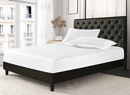 Sapphire collection 800 Thread Count Pure Egyptian Cotton Super Soft Hotel Quality 28 CM/11 Inch Deep Fitted Bed Sheet (Super King Fitted Sheet)