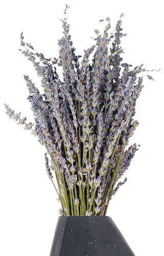 Torkad lavendelblomma - torkad lavendel | Lavendelkonserverade blommor, naturlig torkad lavendelbukett, dekorativ lavendelbukett, lavendelväxt odödlig symbol för kärlek