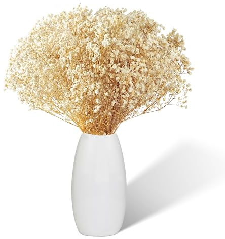 Gypsophila torkade, 2500+ Blomknopp torkade blommor Vita naturliga torkade blommor Gypsophila för bröllop Brudbuketter Pampas gräsdekoration