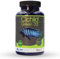 NT Labs Pro-f Cichlid Green 33, Malawi Cichlid Food, Low Protein Cichlid Food, Nutritious Fish Feed, Colour Promoting Fish Feed, 100g