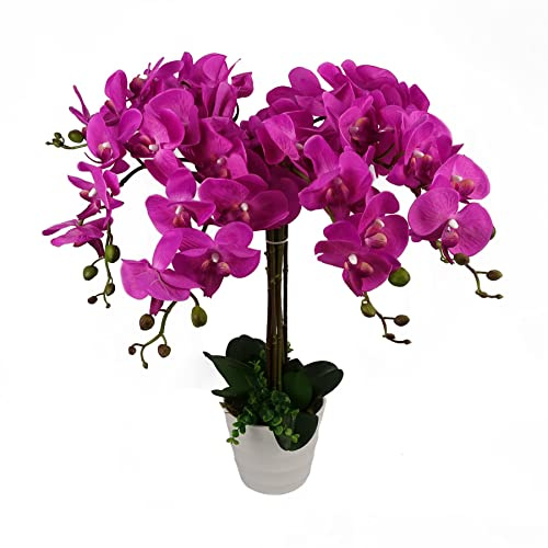 Leaf Design UK - Orchidea artificiale realistica in vaso, rosa scuro, 85 cm