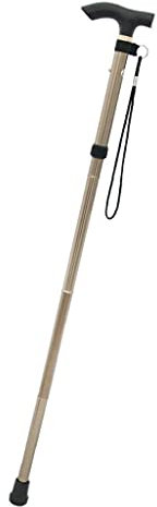 Bastone Pieghevole da Passeggio per Anziani in Alluminio - Bastone Regolabile e Leggero, con borsa trasporto apertura automatica (Argento)