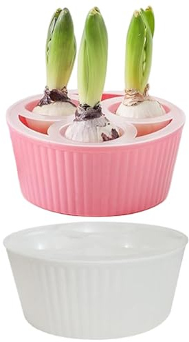DAGLLGEW Confezione da 2 fioriere per bulbi per coltivazione - Vaso bianco a 3 scomparti con indicatore del livello dell'acqua per tulipani, giacinti e bulbi di narcisi Vaso per di giacinto