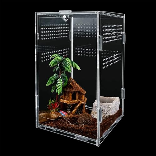 Caja de Alimentación de Insectos 12x12x20 cm, Caja de Alimentación para Reptiles en Acrílico Transparente 360°, Terrarios para Arañas, Ranas, Escorpiones, Caracoles y Lagartos