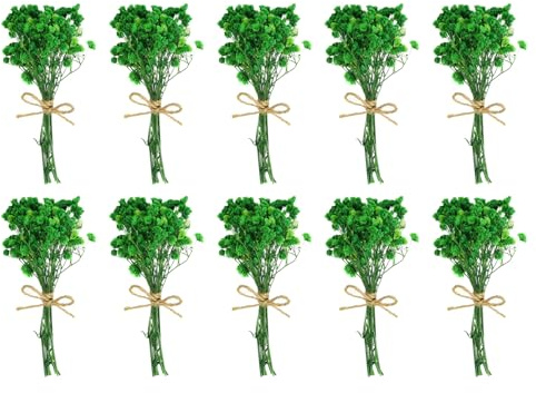 PATIKIL Mini torkad bukett, 10 stycken babyandning naturlig vild blomma med stjälk dekor boho blomma växt blomma för pyssel gör-det-själv foto rekvisita gåva bröllopsdekor, grön