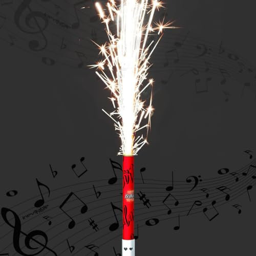 Inevitable Party Musical Singing 'Happy Birthday' Cake Decoration