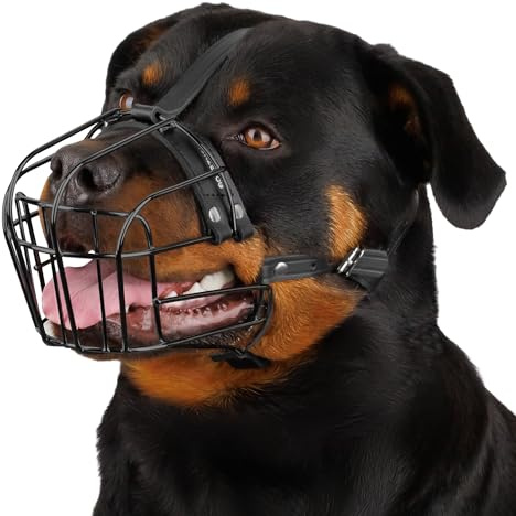 BRONZEDOG Museau Chien Réglable en Fil Métallique Durable pour Grands Chiens, Sangles en Cuir, Respirant, Permet de Boire, Entraînement, Empêche Les Morsures (Rottweiler, PVC)