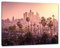 Pixxprint Palmen vor Skyline von Los Angeles, Größe: 120x80cm, Leinwandbild, fertig gespannt, Wandbild, Dekoration, Kunstdruck, kein Poster