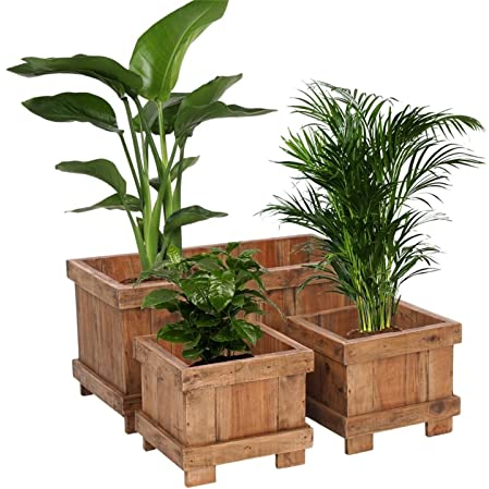DESIGN DELIGHTS Holz ÜBERTÖPFE Set Malva | 80/35 cm, Massivholz, 3-teilig | Rustikale Pflanzkasten, Blumenkasten, Balkonkasten, Pflanzenbeet, Holz Pflanzentopf, Übertopf, Pflanzkübel