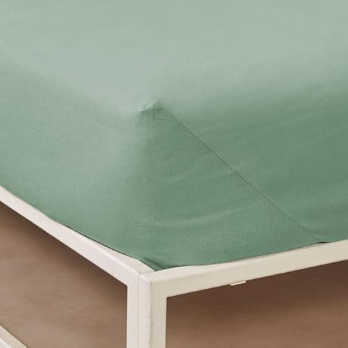 Bassetti - Lenzuolo sotto con angoli Pop Color 100% cotone. Made in ITALY (SALVIA, cm 90x200 - Singolo)
