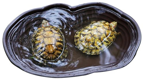 Generisch Schildkröten-Badeschale, Schildkröten-Badebecken,Große Schildkröten-Wasserschale | Mit Abflussrohr, Gecko-Eidechsenbad, rundes Loch, Badebecken für Schildkröten-Kletterspielzeug