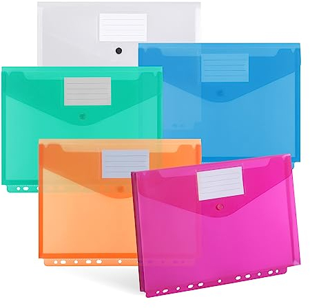 DATEFUN Dokumententasche A4 20 Pack, Dreidimensionale Dokumentenmappe A4, Transparent Sammelmappe A4 mit Binderlöcher und Etikettentasche, Hält 300 Papiere (5 Farben)