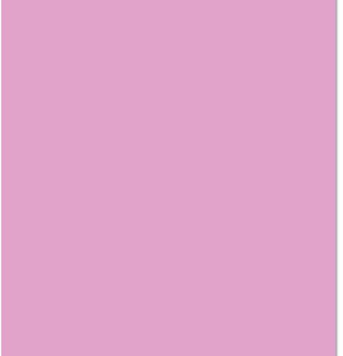 ARK A4 240gsm Colored Card Stock Pack of 10 Sheets (Lilac)