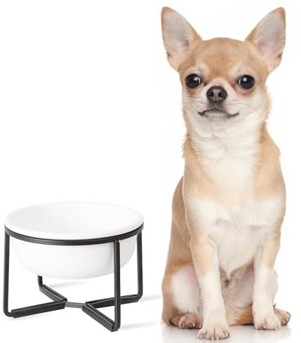 Gamelle Chien Surélevée en Céramique - Petit Bol pour Nourriture ou Eau avec Support en Métal Antidérapant - Idéale pour Petits Chiens et Chats - 400 ML - Blanc