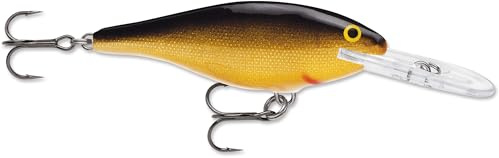 Rapala - Shad Rap Angelköder - Angelzubehör mit Balsa-Konstruktion - Süßwasser Spinnköder - Lauftiefe 2.4-4.5m - Fischköder 9cm, 15g - Hergestellt in Estland - Gold