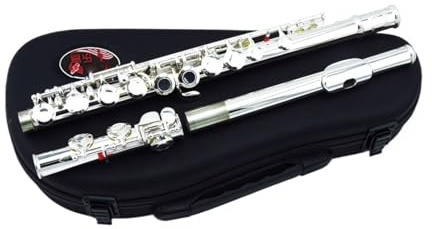 tvärflöjt instrument Flöjtinstrument nybörjare 16 håls professionell prestanda