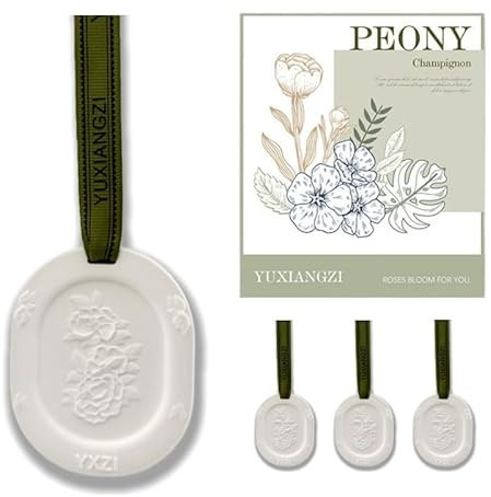 Essential Oil Diffuser, 3pcs Plaster Passive Hanging Closet Deodorizer for Armoire, Cars, Bathroom Etc. Non-Electric, BatteryFree, waterless, Sage Green
