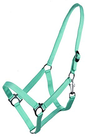 ARBO-INOX® Halfter mit Schiebeschnalle Stallhalfter Basic (Pony, türkis)