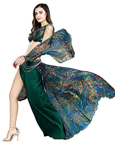 ROYAL SMEELA Belly Dance Costume for Women Belly Dancing Skirts Belly Dance Bra and Belt Belly Dancing Outfit Bracelet Shawl Green