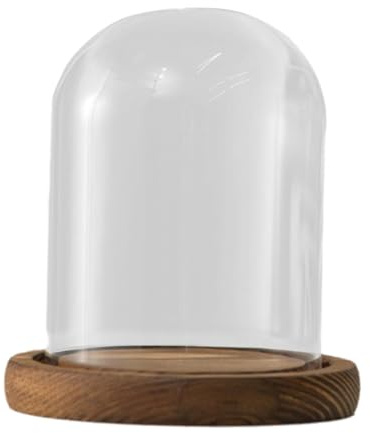 Sharplace Campana in Vetro con Base in Legno per Esposizione da Tavolo 9 cm, Style a
