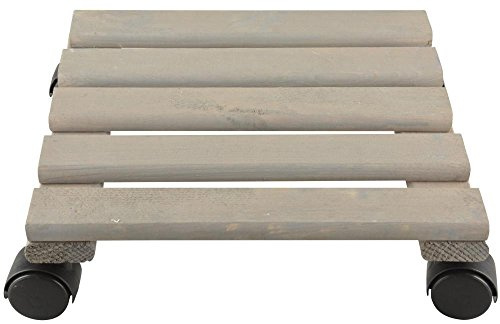 Fallen Fruits NG51 Large Square Plant Trolley FSC 100%,Green