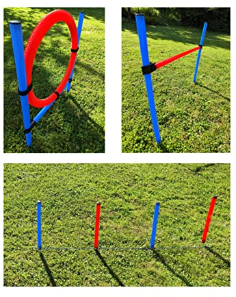 Agility Parcours Set Gr. S Hundetraining 3 Elemente Dog Activity Hürde Hundesport Sprungring Reifen Slalom Trainingsstangen Sprungstange Tiertraining Trainingsparcours Hindernisparcours Bewegung