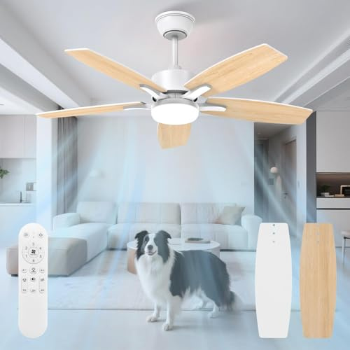 Mefine Silencieux Ventilateur Plafond avec Lumiere et Telecommande