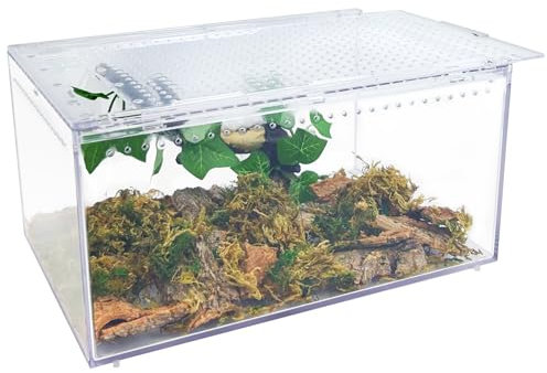 Apatal Reptile Terrarium Enclosure 12X 8X 6 Acrylic Tarantula Breeding Box Magnetic Hermit Crab Habitat Tank Transparent Jumping Spider Cage for Insect Snail Amphibians Sling Isopods (2.5 Gallon)