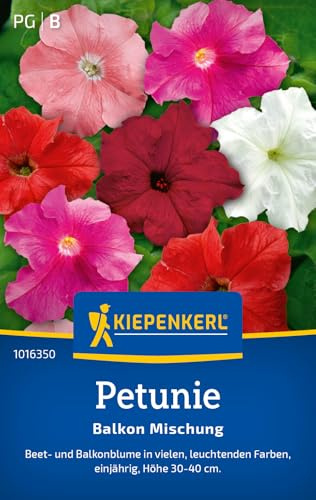 Kiepenkerl Petuniensamen Balkon Mischung 1016350, Blumensaat