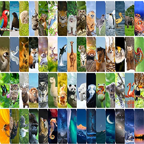 300PCS Animal Bulk Bookmarks for Kids Classroom 60 Designs Cool Wildlife Bookmark Cute Book Mark Double Sided Bookmark for Book Lovers Students Children Rewards Gifts
