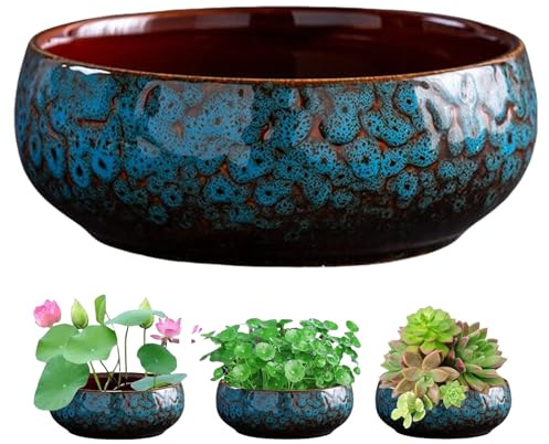 Vaso per piante di loto, ciotola di loto per piantare in acqua, ciotola per bonsai, vaso di semi di loto, decorazione idroponica per interni, vaso da fiori idroponici bianchi (C)