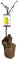 Planta natural Frutal arbol Manzano Golden injertado. Altura 80-100 cm. Fruto amarilla, manzana dulce y jugosa; pulpa crujiente. Árbol productivo y resistente al frío. Segura Garden