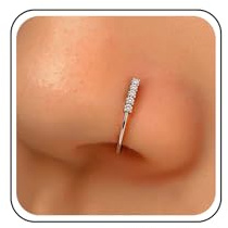 Aneneiceera Vintage Rhinestone Anillos De La Nariz Boho No Piercing Anillos De La Nariz Clip En Anillo Nasal Aro Plata Cz Tenis Brazalete Anillo Nasal Cristal Joyería Para Las Mujeres (plata)